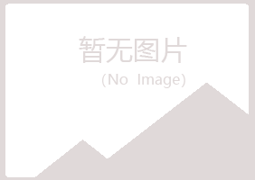 青岛崂山如柏金融有限公司